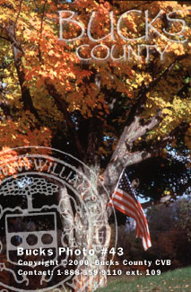 Fall in Bucks County