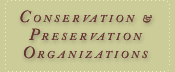 Conservation And Preservation Organizations