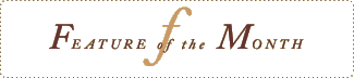 Feature Of The Month
